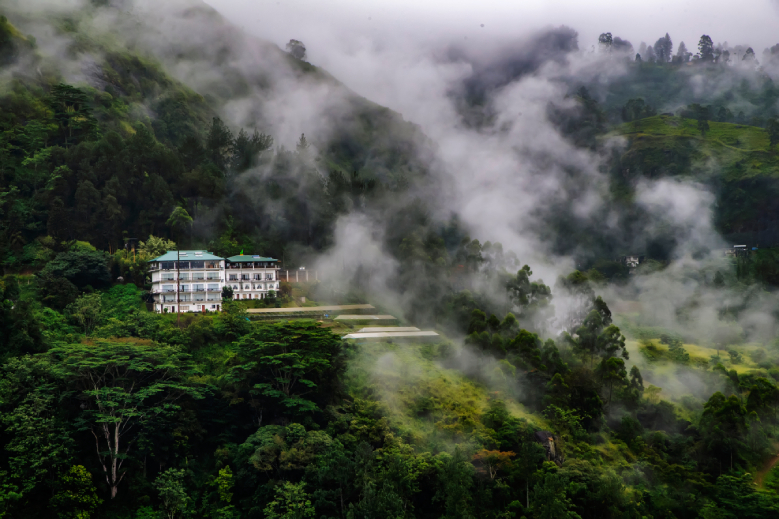 How to Plan a Sri Lanka Tour Without Hotel Packages